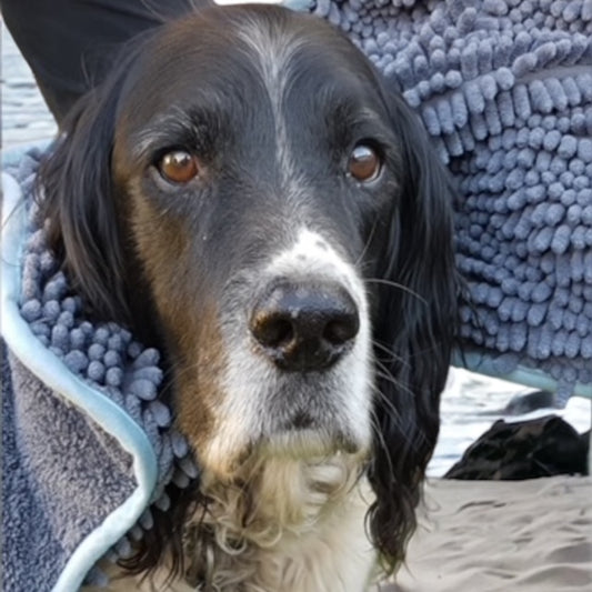 Drooghanddoek voor honden