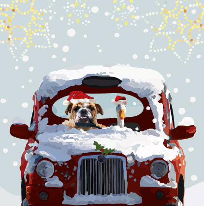 Kerst cab bulldog