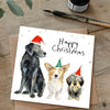 Catherine Rayner Chrismas Dog kerstwenskaart hond 15 x 15 cm