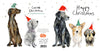 Catherine Rayner Chrismas Dog kerstwenskaart hond 15 x 15 cm