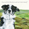 The Little Dog Laughed Wenskaart hond Guiness  the Border Collie  15 x 15 cm