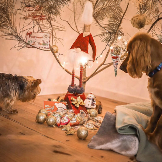 Cooka’s Cookies Kerst Chicken and Tuna Beijinhos natuurlijke trainingssnoepjes hond 50 gram