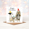 Catherine Rayner Motley Dog Friends kerstkaart hond 15 x 15 cm