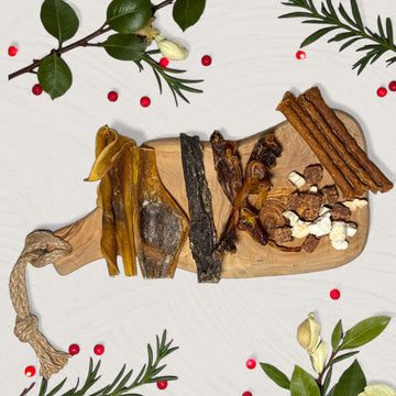 Silly Dog Buffet Exotique kerst mix 175 gram