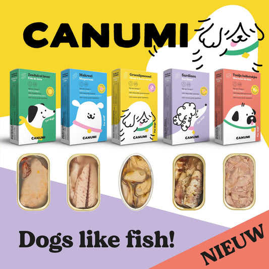 Sardientjes voor je hond