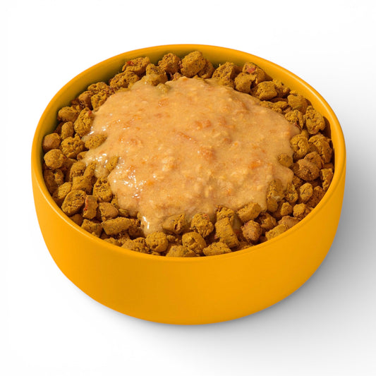 FRED Smoothie Kip functioneel natuurlijk natvoer hond 200 gram