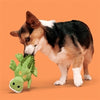 Bark Karri Crocodile hondenspeeltje  met pieper 32 cm