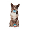 Bark Great White Dwight super chewer hondenspeeltje 27 cm