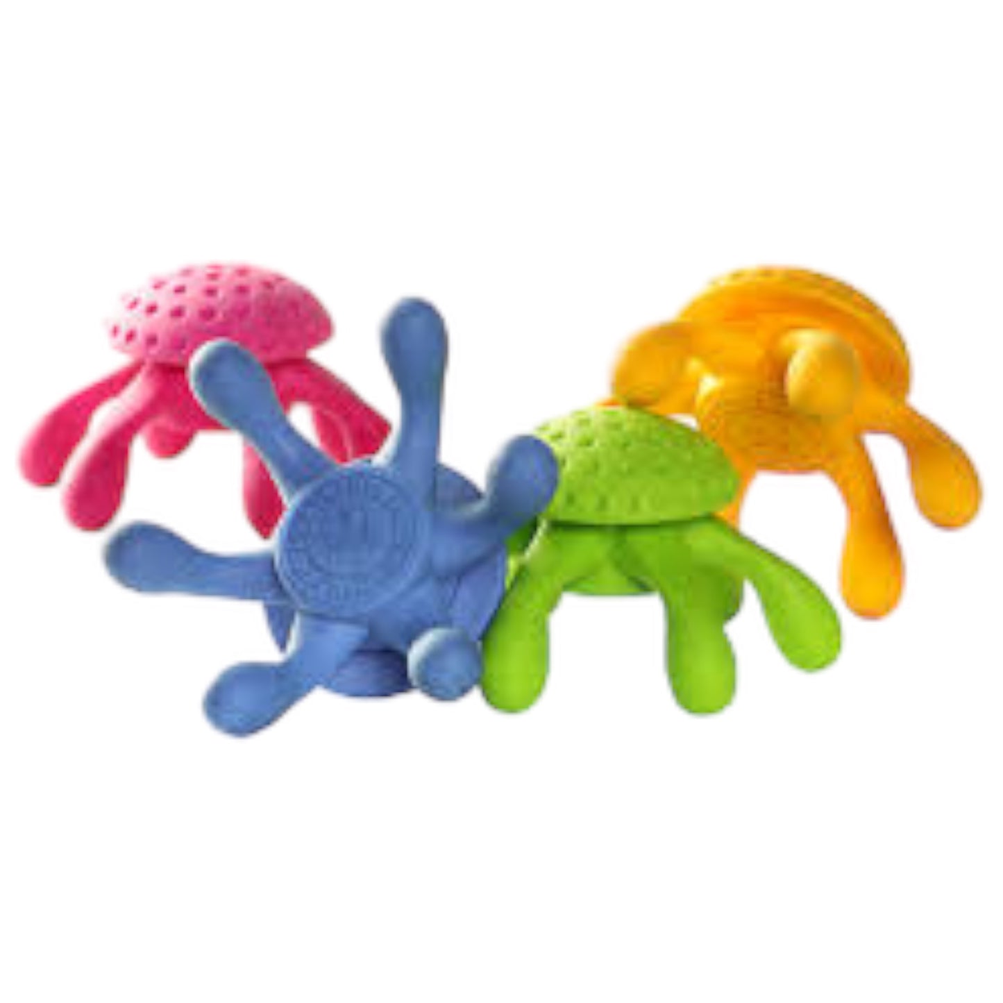 Let’s play! Octopus mini Kiwi Walker