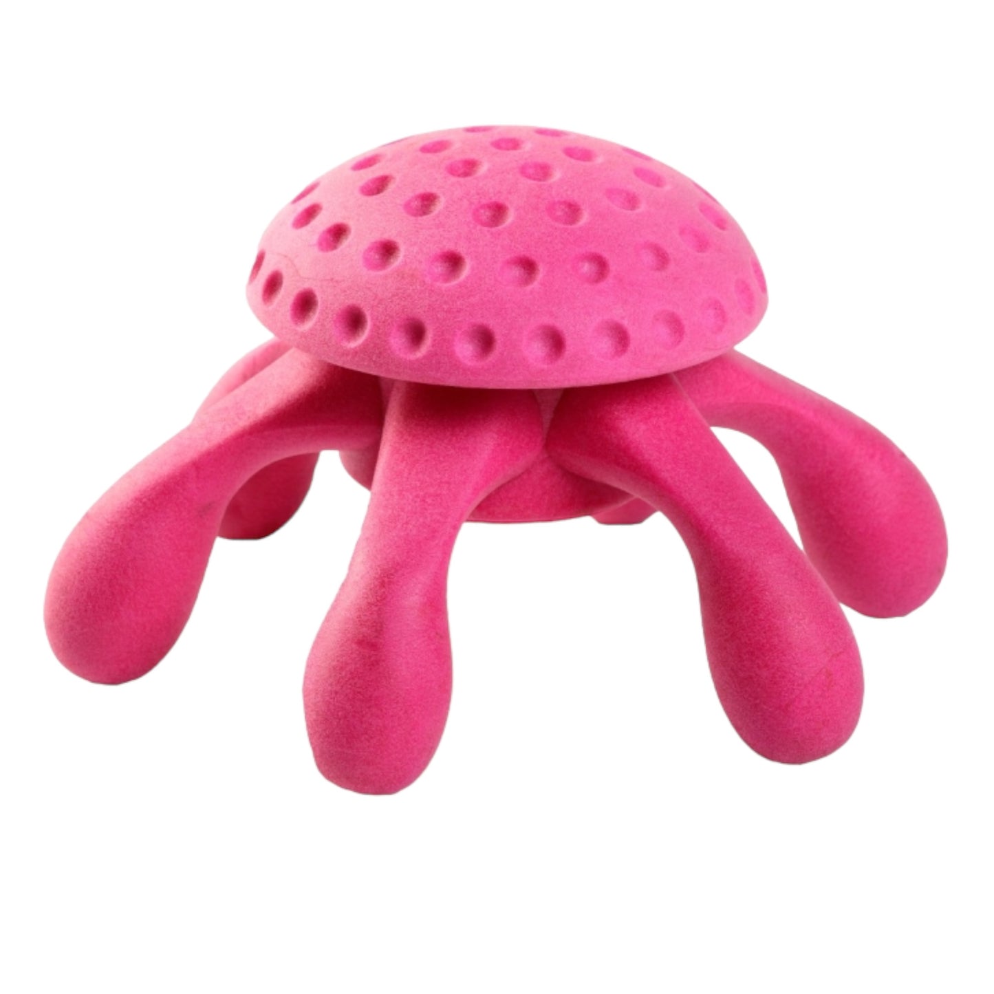 Let’s play! Octopus mini Kiwi Walker