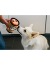 P.L.A.Y. Doggo's Java | Koffiebeker hondenspeelgoed