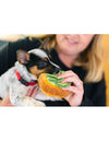 P.L.A.Y. Avo-Doggo Toast | Avocado toast hondenspeelgoed