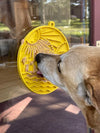 Sodapup likmat hond Sun 'n Sea geel blauw  20 cm