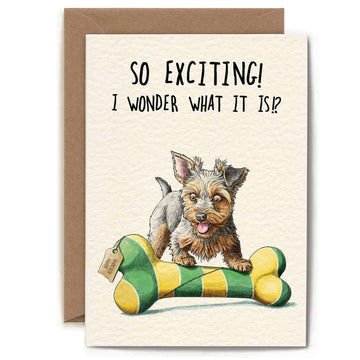 Bewilderbeest verjaardagskaart So exciting hond met bot 13 x 18 cm