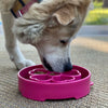 Sodapup slowfeeder hond Flower roze 20 x 5 cm