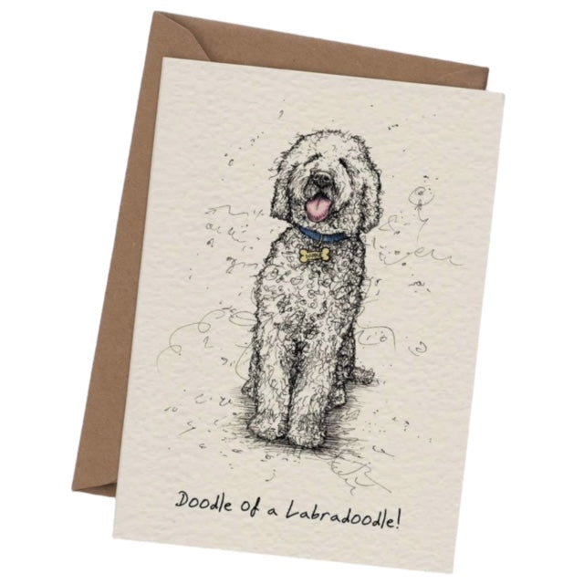 Labradoodle