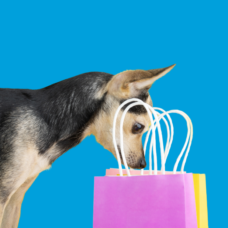 Vrolijke kado’s voor baasjes