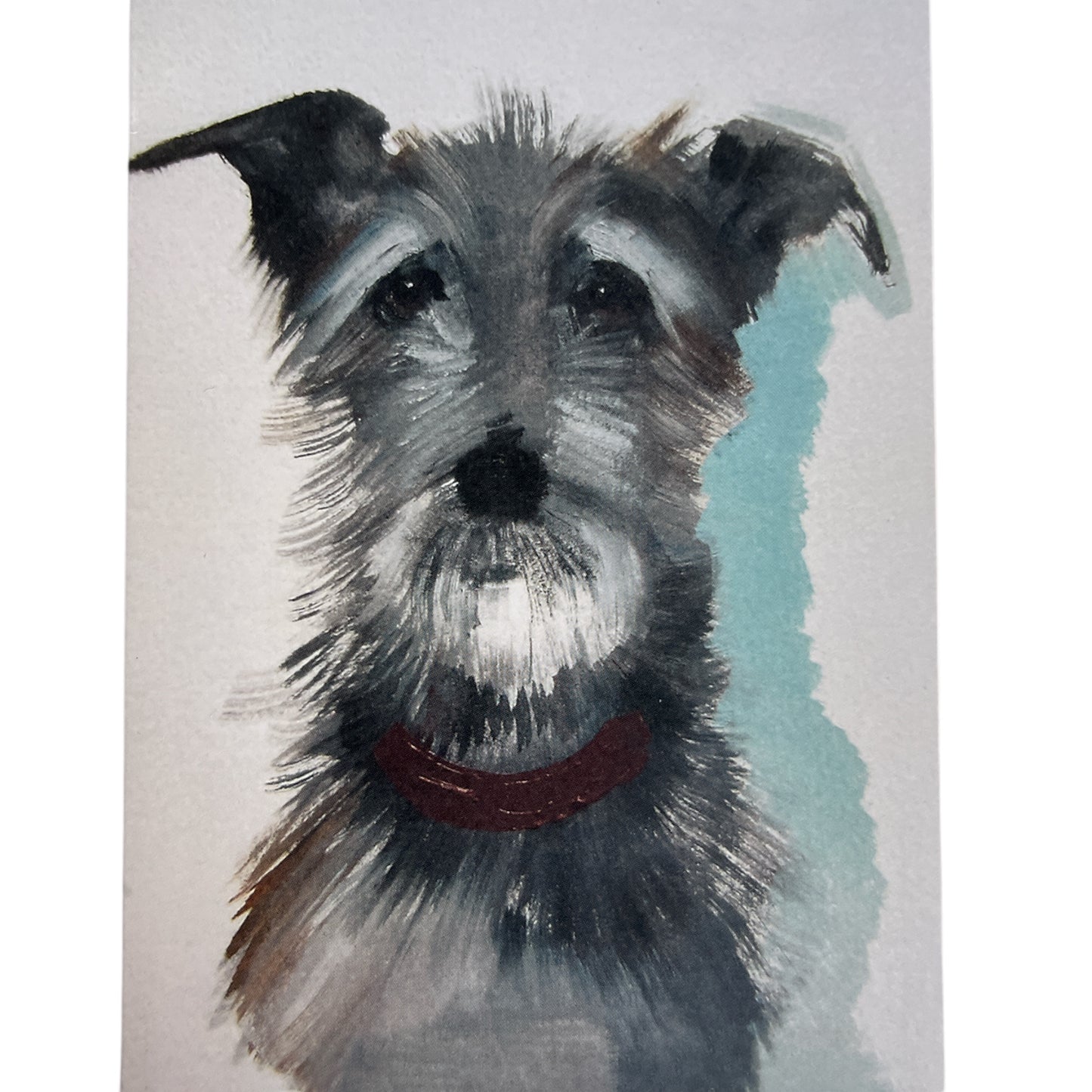 Hairy dog, Sally Muir